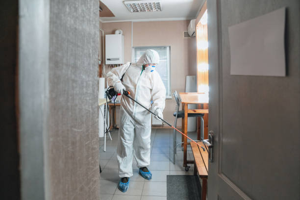  Berwyn, IL Mold Removal Pros