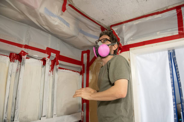 Mold Remediation for Vacation Homes in Berwyn, IL